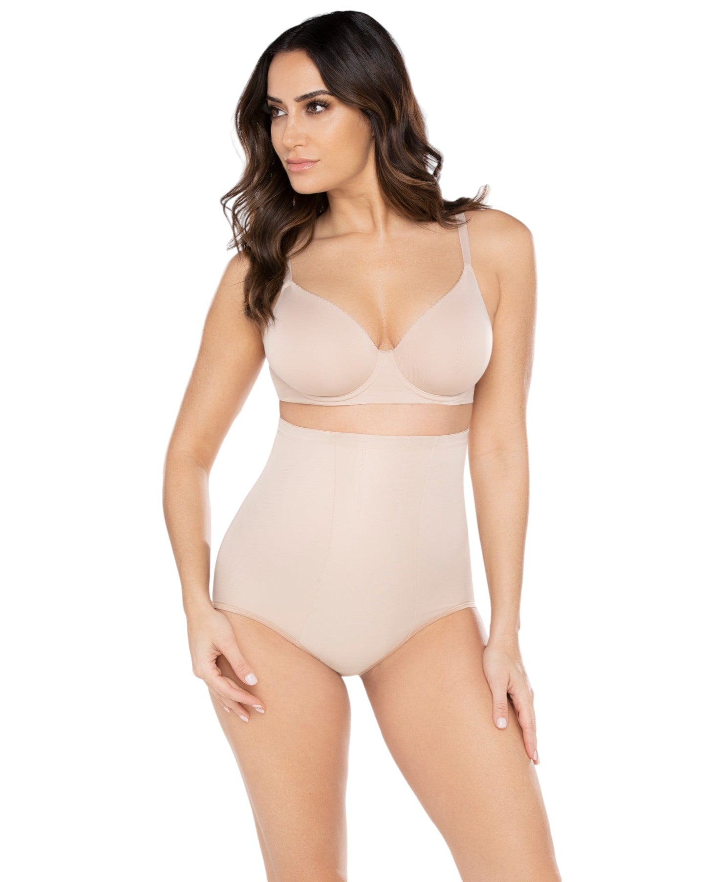 Miraclesuit Comfort Leg Classics High Waist Brief  Brief  Miraclesuit.